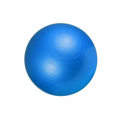 Fitness ball Ballon De Gym 75Cm Bleu